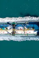 Crude prices, LPG shortages, and the cost of Gulf dependence | Policy Circle 