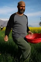 Iran war drives global fertilizer prices up, raising food cost fears 