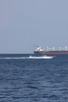 IMEC, Indo-Pacific routes key to reducing Hormuz dependence: EY