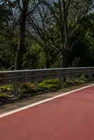 India Paints Road Red and Uses Smart Asphalt to Slow Drivers and Protect Wildlife in Nature Reserve 