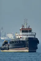 7 India-bound cargo ships cross Hormuz in 3 days, 15 in queue