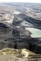 Asian coal prices to stay elevated as Indonesian supply curbs tighten market: Report 