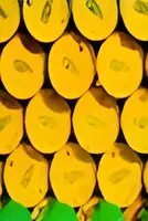 China’s real oil demand masked by rise of unlicensed fuel trade: sources