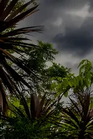 What Is the Oil, Gas Impact of Storm Edouard?