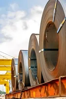 Velina Tchakarova: Market access and reliability becoming key competitive factors for steel