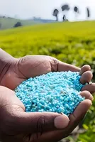 Nirmala Sitharaman urges focus on Fuel, Fertiliser, Forex; hits out at critics for peddling pessimism
