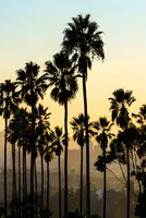 California Gasoline Price Surges Above $6
