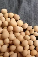 CBOT soybean oil falls 7% as US biofuel policy uncertainty weighs on demand outlook