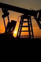 Crude cools, will petrol and diesel rates go down soon? Experts see Rs 2-4/litre cut