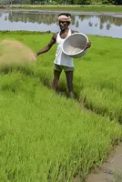 India’s dual dependence on West Asia for urea production 