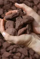 Iron ore dips as rising freight rates impede steel exports