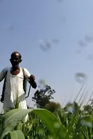 US-Israel-Iran: West Asia conflict disrupts fertiliser supplies, threatens availability ahead of kharif sowing 