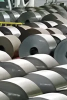 Steel Holds Gains as China Output Declines