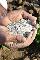 The Sri Lanka lesson India must not repeat — and cannot afford to ignore 