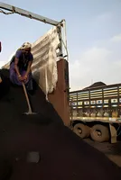 Coal India''s Q1 Production Drops 7.5% Despite Demand 
