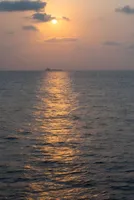 Holding the Line: The West Asia Crisis and India’s Energy Resilience 
