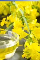 Petchem price rises confirm inflation risk as Strait of Hormuz remains closed – Chemicals and the Economy 