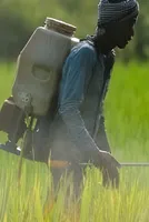 India's Basic Chemical Makers Face Margin Pressure Amid Global Oversupply 