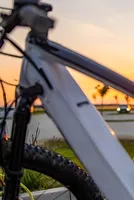 EV adoption India: Oil price volatility boosts electric mobility push surge 