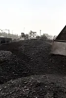 India's coal imports turn steel-centric as metallurgical coal demand rises 