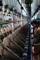 At chemical units in Gujarat’s Vapi, order books hit, cash flows blocked 