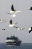 Strait of Hormuz disruption: Fertiliser ‘shock’ threatens Indian agriculture, global food security 