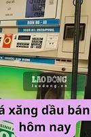 Retail gasoline and oil prices today 12. 7 