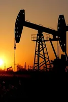 India Energy Shock: Cost of Insulating Consumers 