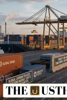 US Probe into EU Carbon Border Tax Could Benefit India 