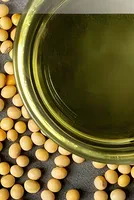 Rising diesel prices, Middle East war hit Brazil soybean, corn farmers