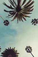 Chevron Warns California Risks Energy Crisis Due to Iran War