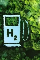 China, India Double Down on Green Hydrogen Amid West Pullback 