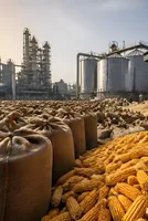 E20’s Maize Problem: How Ethanol Policy Could Squeeze Indian Food Supply