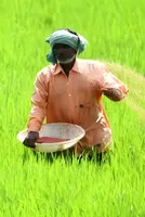 India moves to fortify fertilizer security, boost domestic production amid global supply risks