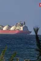 West Asia crisis: Strong response, but challenges persist ahead in petrochem space 