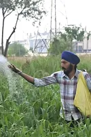 India's fertiliser output hits 5-year low amid input shortages 