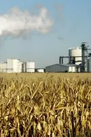 Renewable fuel credit prices hit records on US biofuel mandates, oil market volatility 
