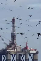 Oil Retreats While Iran Pressure Builds