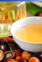 US Palm Kernel Oil Prices Rise 1.53% in late March 2026 amid Tightening Supplies