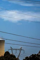 Aiming at Self-Sufficiency, TN to Focus on Green Energy Along With Thermal Power 