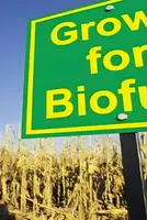 Conflicts push India’s biofuel, low-carbon fertiliser revolution 