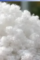 PSF Prices Strengthen in H2 January 2026 Amid Rising Feedstock Costs and Crude Oil Volatility