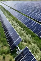 How AgriPV’s Double Engine Effect Gives Financial Security to Farmers 