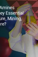 Why Fatty Amines Remain Essential to Industrial Performance 