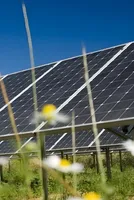 IEA: Solar overtakes all energy sources in a major global first 