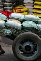 Rise in wholesale price inflation driven by global commodity, energy costs: Government 