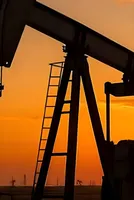 India's energy security now backed by strong systems, diversified oil sourcing: Former BPCL Marketing Director