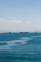 Wall Street Journal: Strait of Hormuz Crisis Drives Global Coal Consumption 