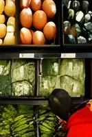 Oil, energy and food: Which countries in Europe are most exposed to higher food prices?