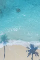 Venezuelan Oil Moves Into the Caribbean